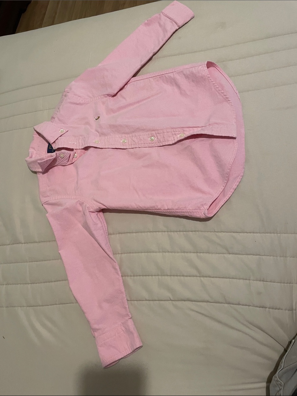 Polo by Ralph Lauren Pink Long-Sleeve Button-Down Shirt